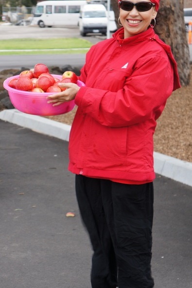 Parent Volunteers